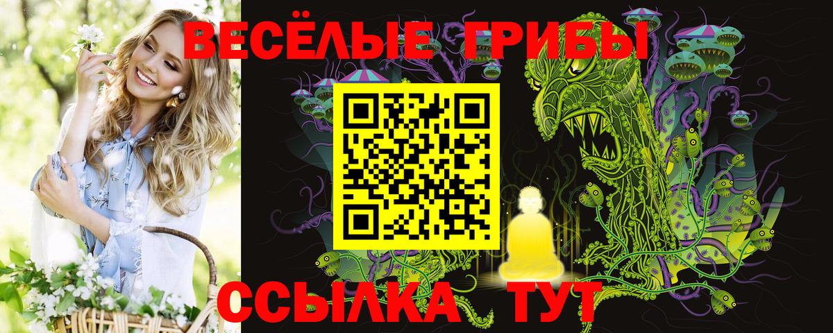 Псилоцибиновые грибы Cubensis Ликино-Дулёво